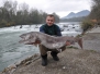 Sava