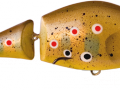 Moby10_F_BT