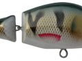 Moby10_F_P