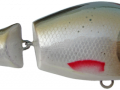 Moby10_F_RO