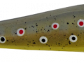 Taimen_F_Browntrout
