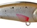 UNA_deep_Roach_700
