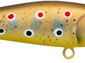 UNA_kolor_BT